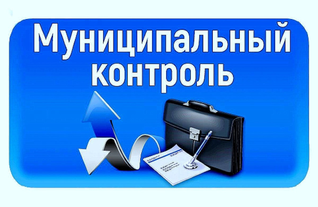 Муниципальный контроль - в действии.