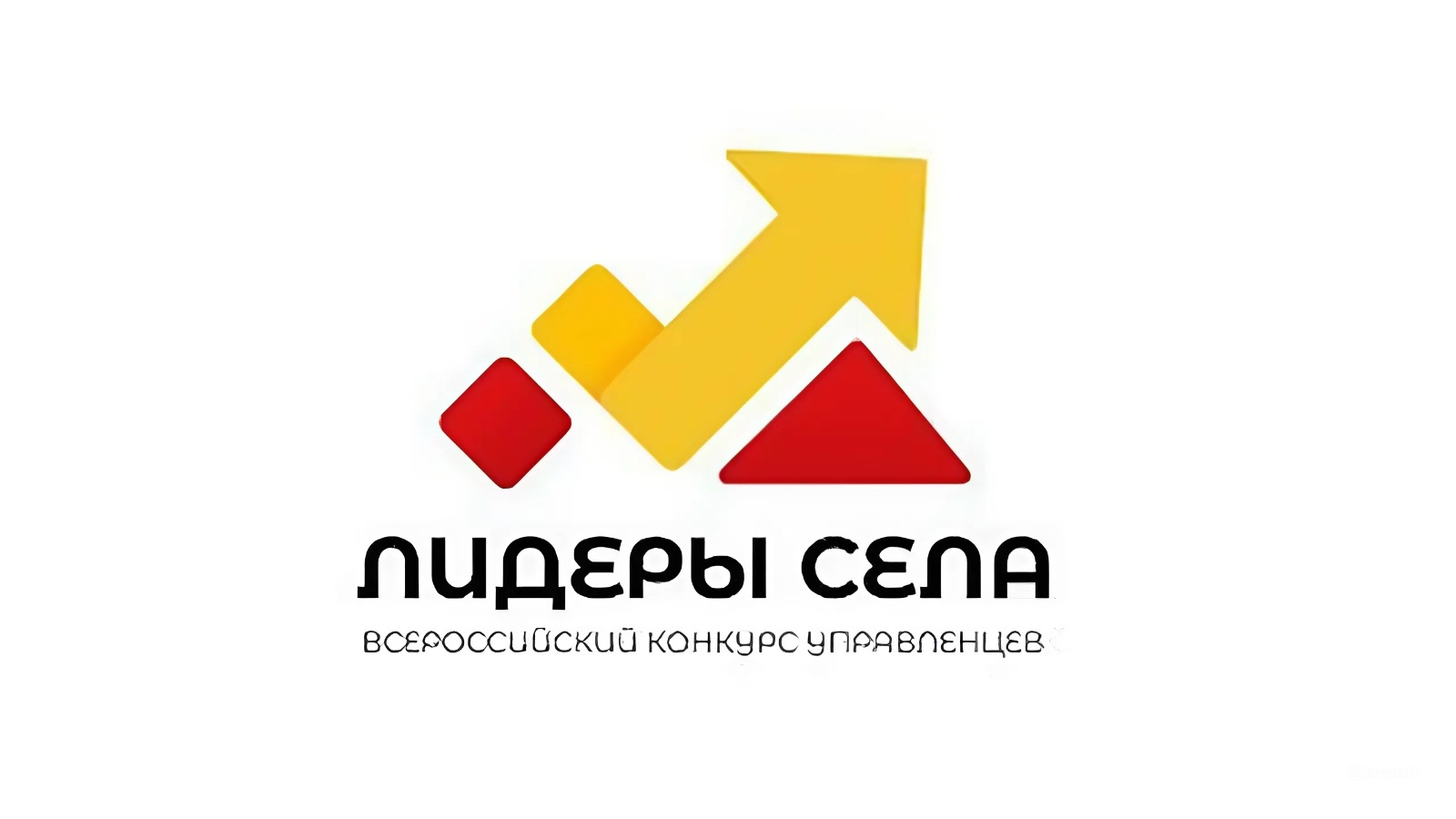 Всероссийский конкурс молодых управленцев «Лидеры села».