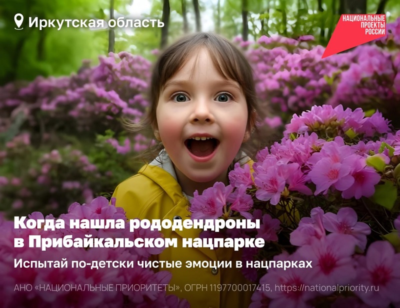 Когда в последний раз вы испытывали искренний восторг? Удивлялись так, чтобы внутри что-то щёлкнуло, как в детстве?.