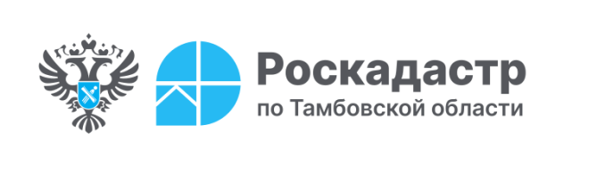 В региональном Роскадастре рассказали, в каких случаях можно вернуть плату за предоставление сведений ЕГРН. В региональном Роскадастре рассказали, в каких случаях можно вернуть плату за предоставление сведений ЕГРН.